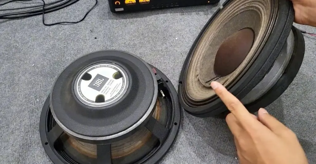 Tại sao màng loa dễ hỏng và cần thay kịp thời