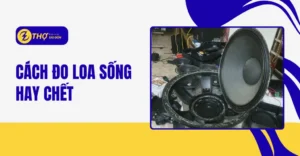 Cách đo loa sống hay chết