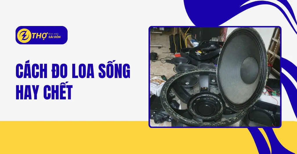 Cách đo loa sống hay chết