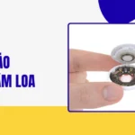 Cách tháo nam châm loa