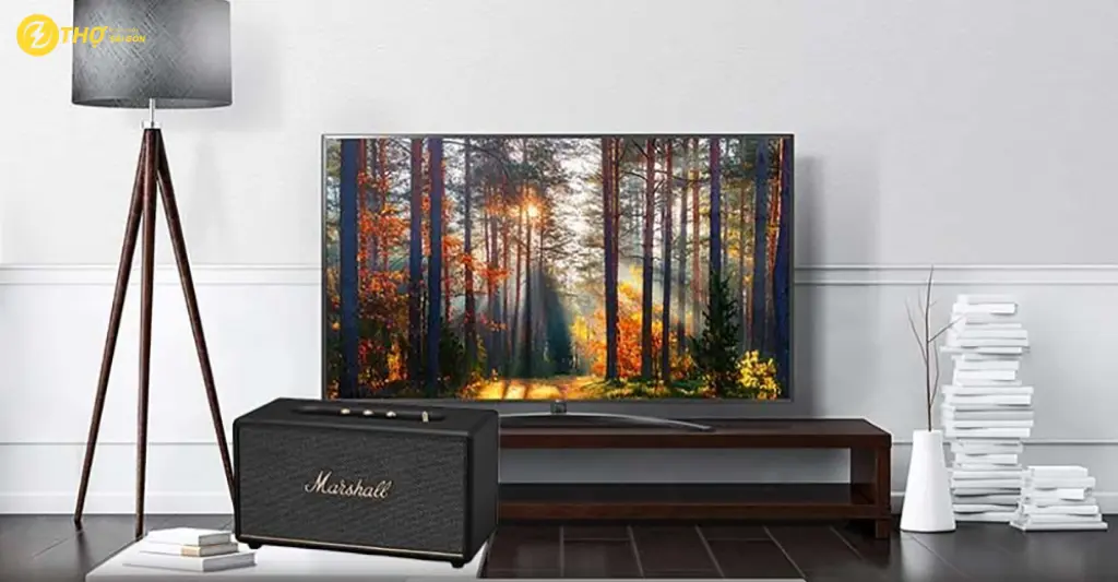 Hướng dẫn kết nối tivi TCL với loa ngoài đơn giản