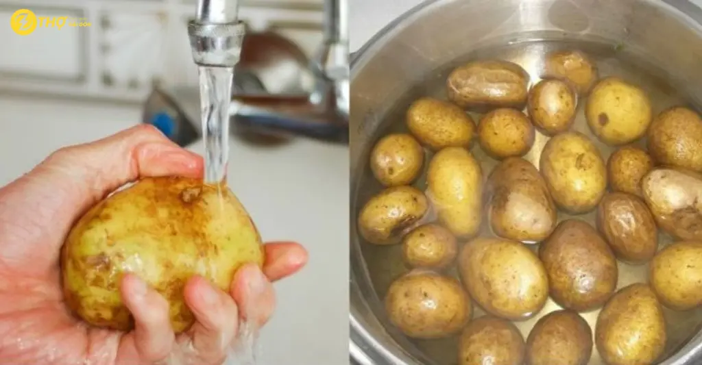 Chuẩn bị và sơ chế khoai