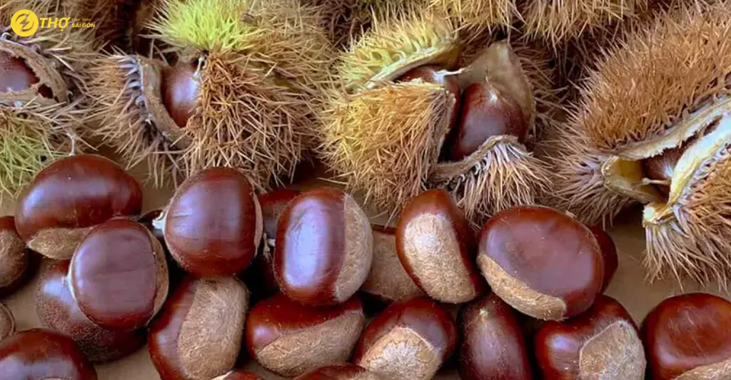 Mẹo chọn hạt dẻ tươi ngon để rang thành công